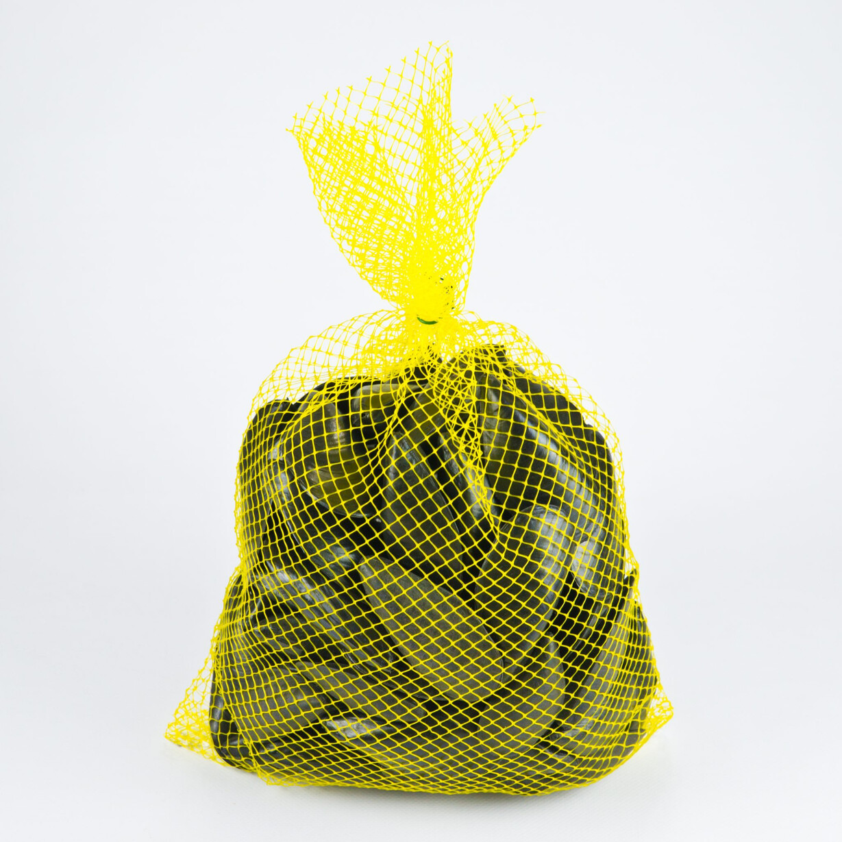 Mejillones en malla de batea - catalogo acuacultura