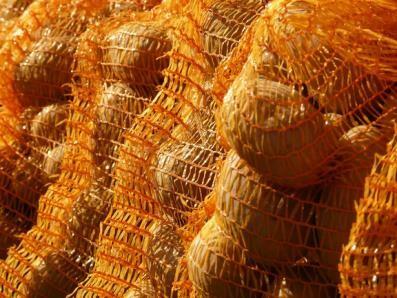 Sacos y malla de embalaje para patatas